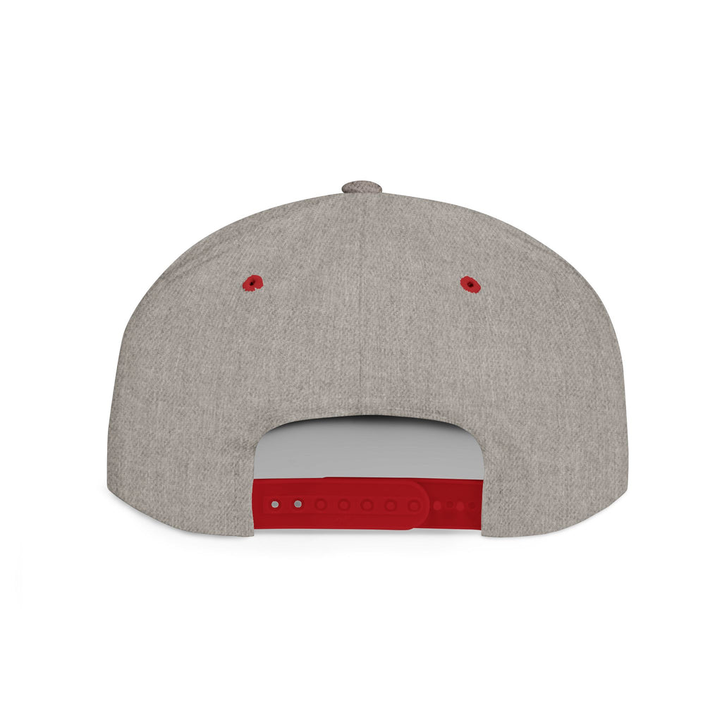 License Plate Snapback
