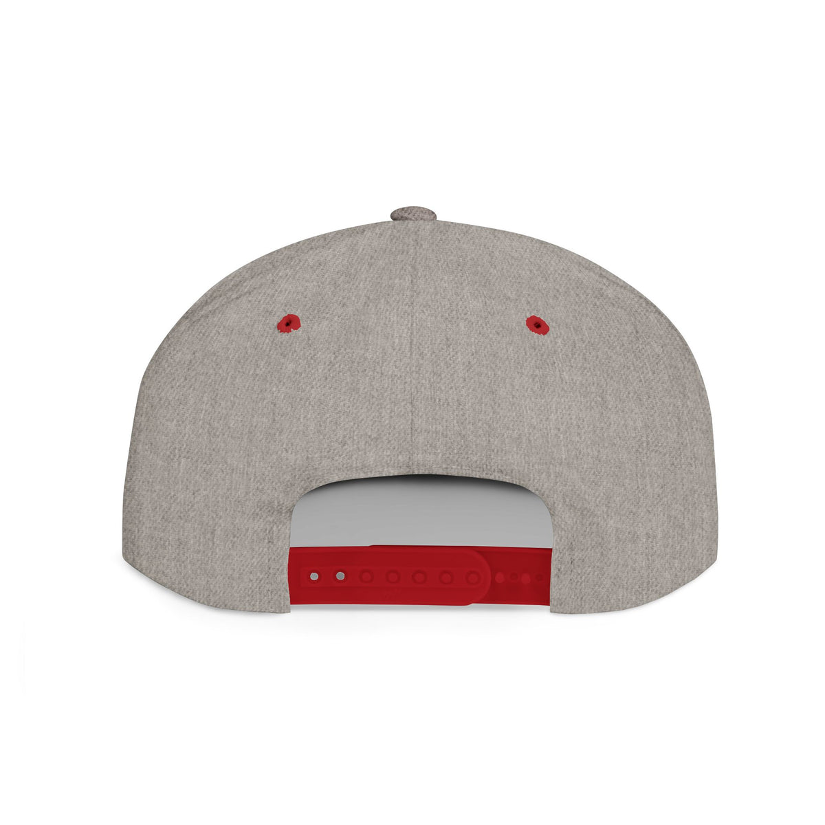 License Plate Snapback