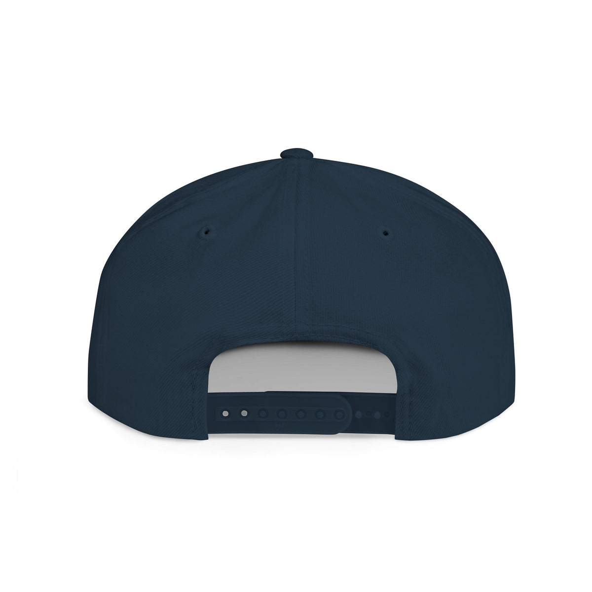 License Plate Snapback