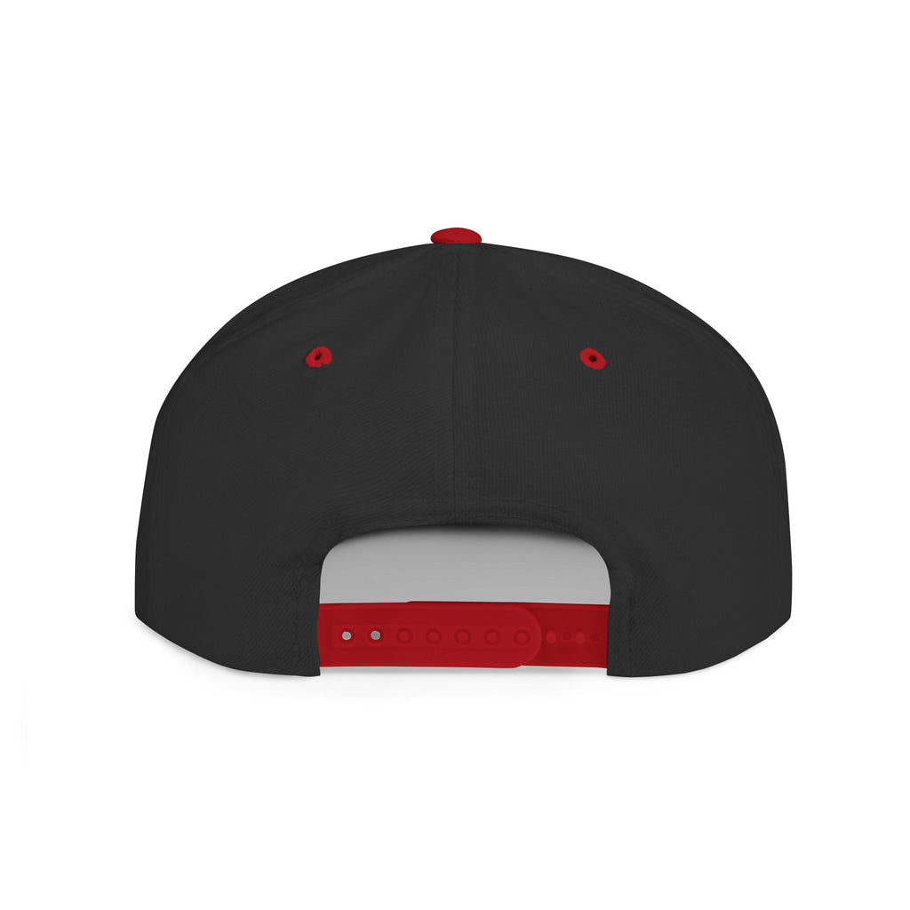 License Plate Snapback