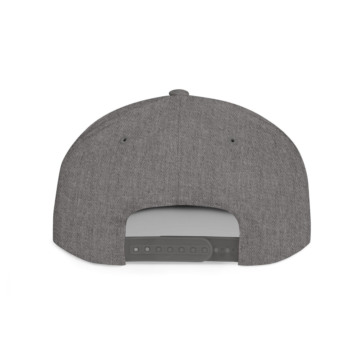 License Plate Snapback