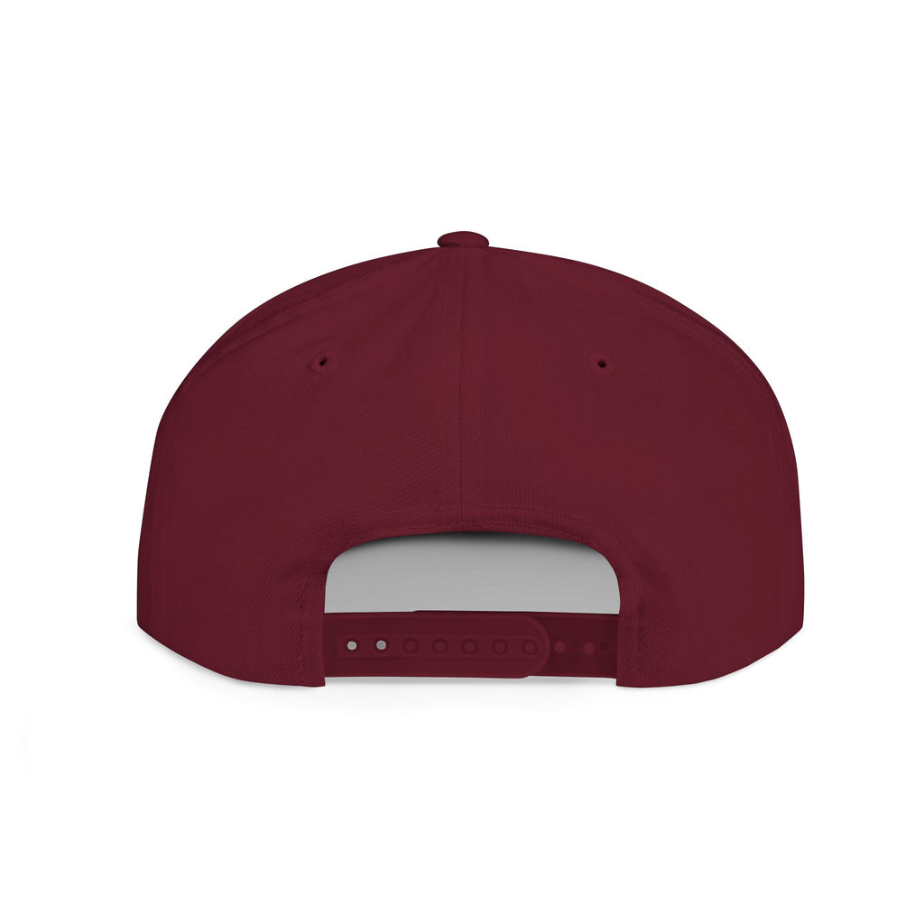 License Plate Snapback