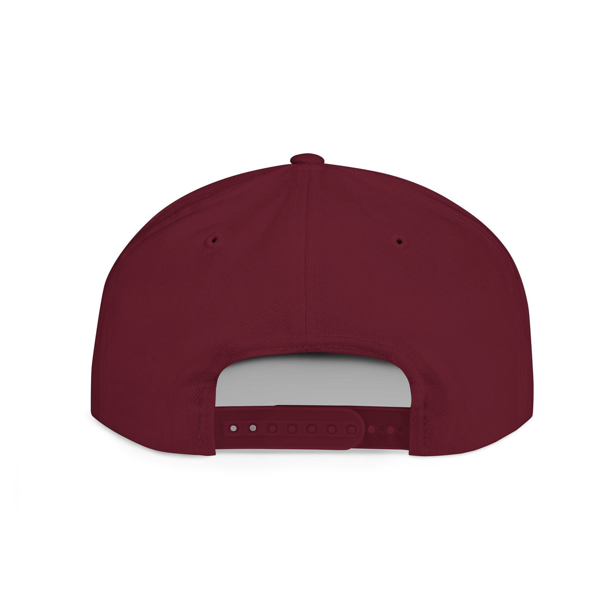 License Plate Snapback