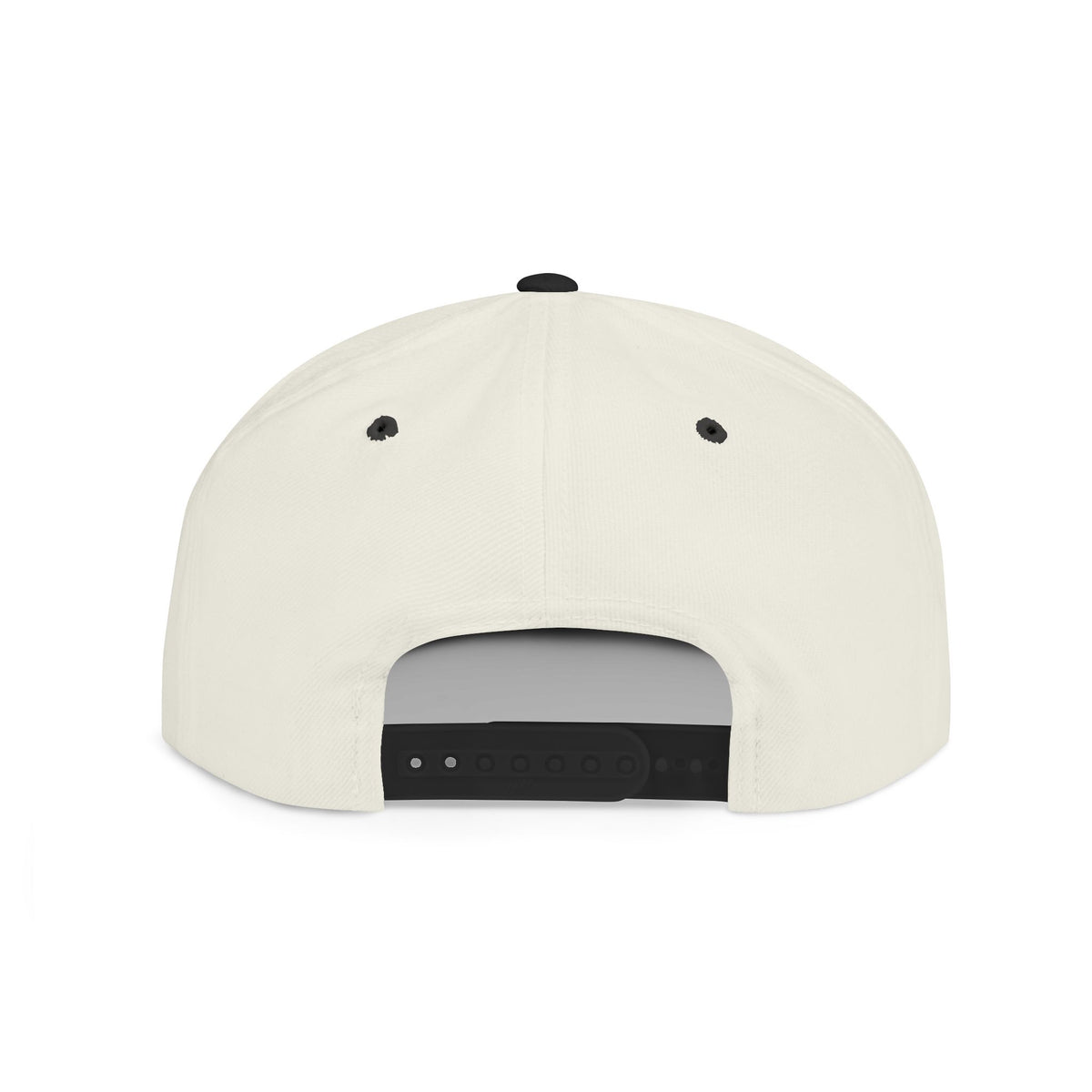 License Plate Snapback