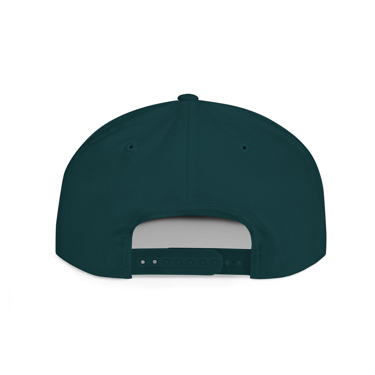 License Plate Snapback
