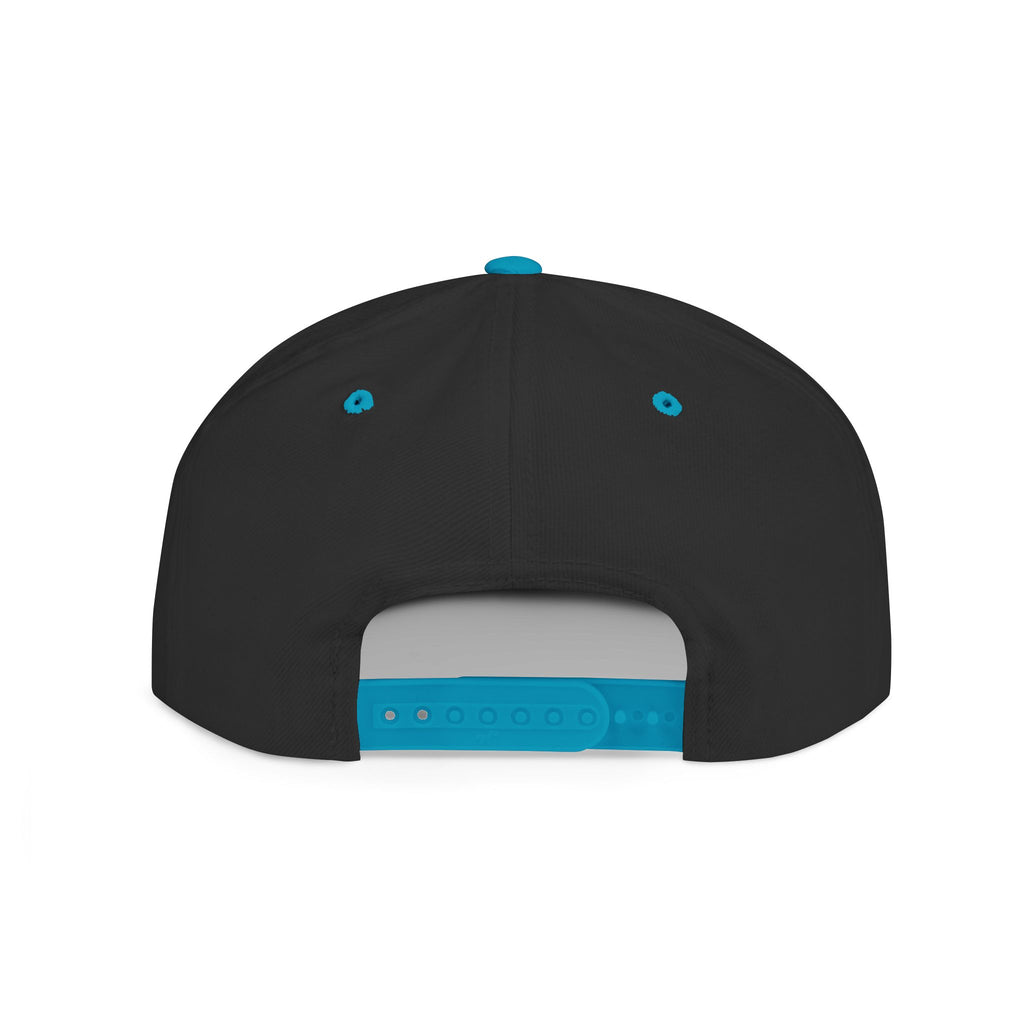 License Plate Snapback