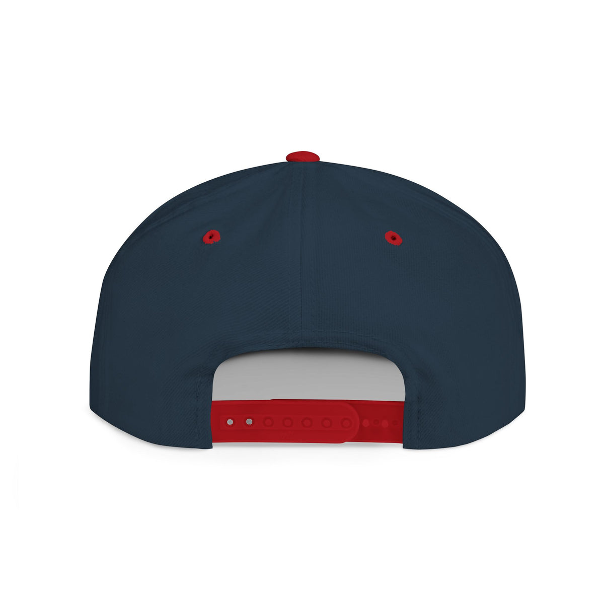 License Plate Snapback